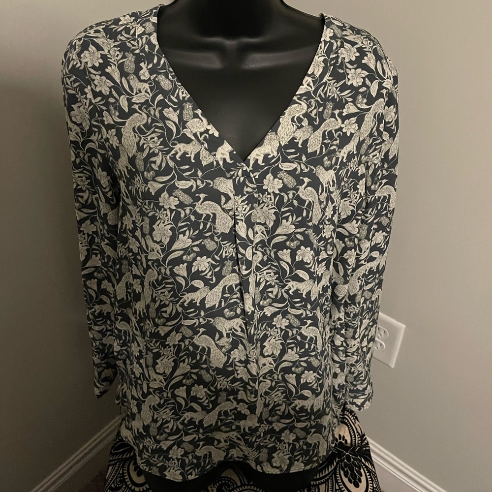 Shear blouse